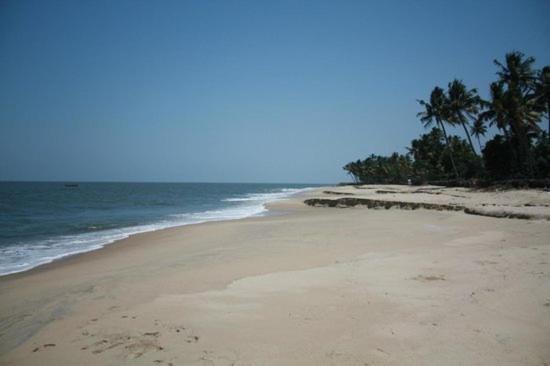 Fool'S Paradise Homestay Alappuzha Exterior photo