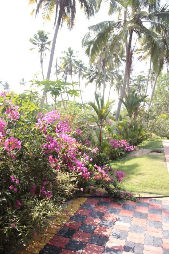 Fool'S Paradise Homestay Alappuzha Exterior photo